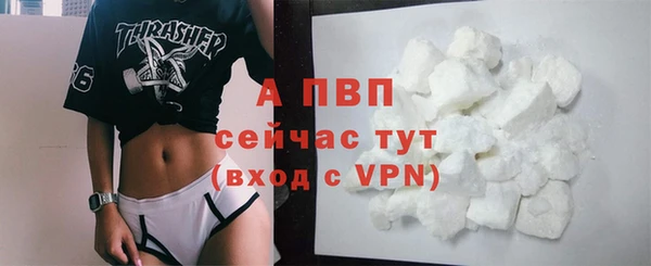 прущие грибы Навашино