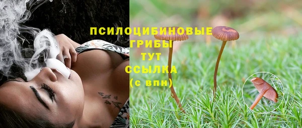 ешки Надым