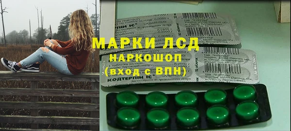 прущие грибы Навашино