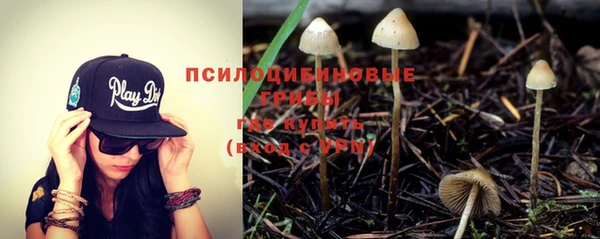 ешки Надым
