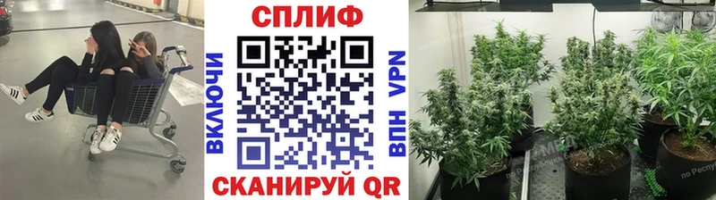 Бошки марихуана индика  Купить где  Елизаветинская 